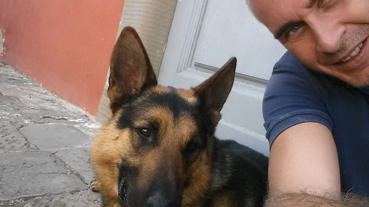 Addio a Pando, cane antidroga di Firenze: "Ha aspettato il suo conduttore"