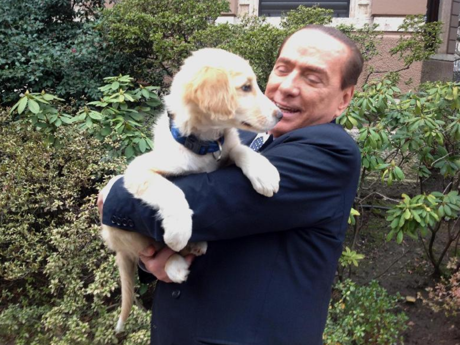 Silvio Berlusconi in campagna elettorale si rilassa con i cani [FOTO]