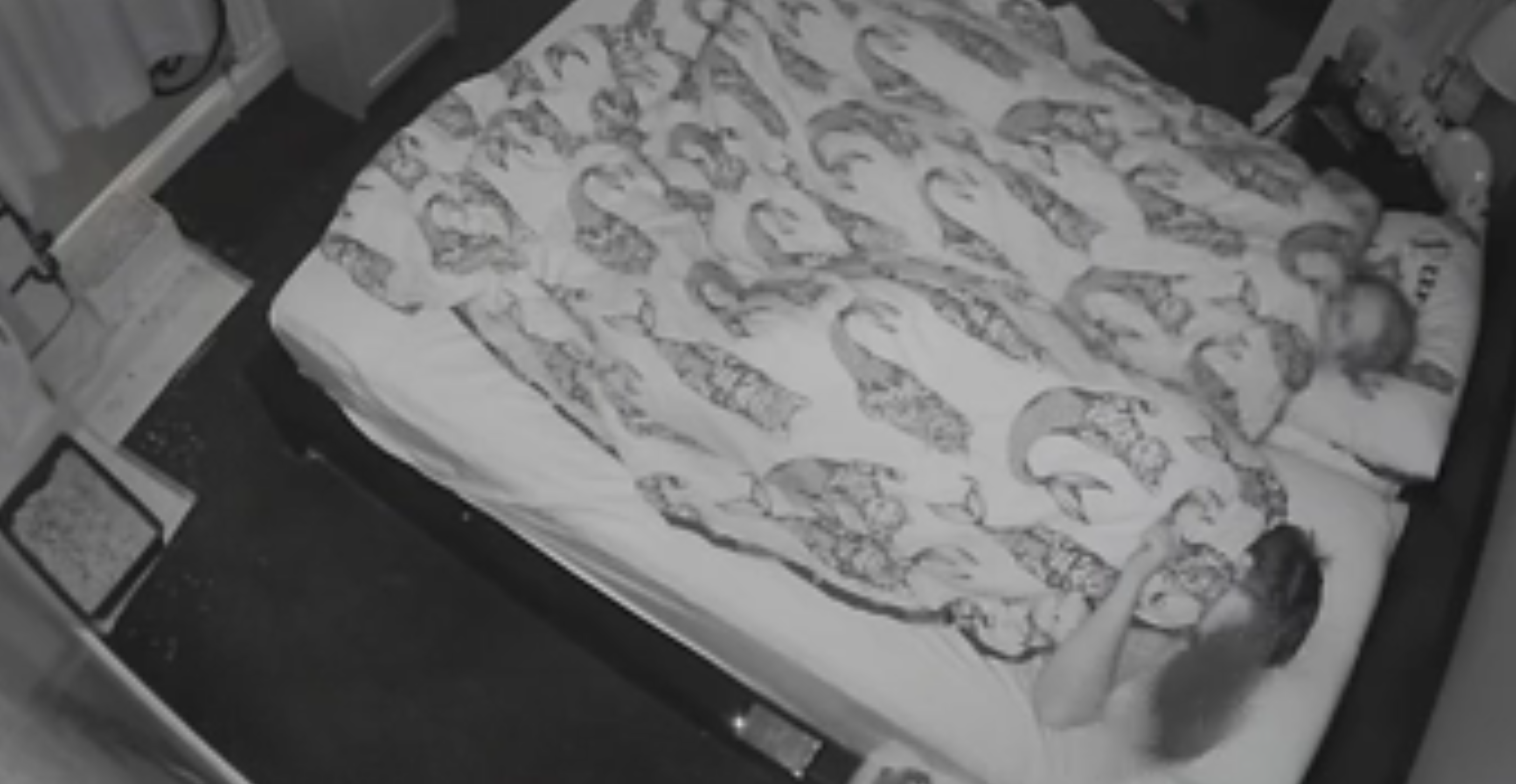 La vita notturna di un coniglio: i proprietari dormono e lui… [VIDEO]