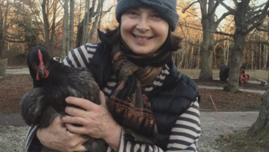 Isabella Rossellini tra galline e maiali: nuova vita per la star del cinema