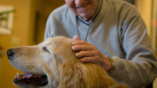 Anziano in fin di vita incontra il suo cane per l’ultima volta [VIDEO]