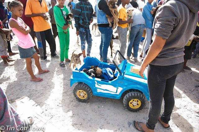 Troppo povera per avere un'auto trasporta il suo cane coi cuccioli in una jeep giocattolo