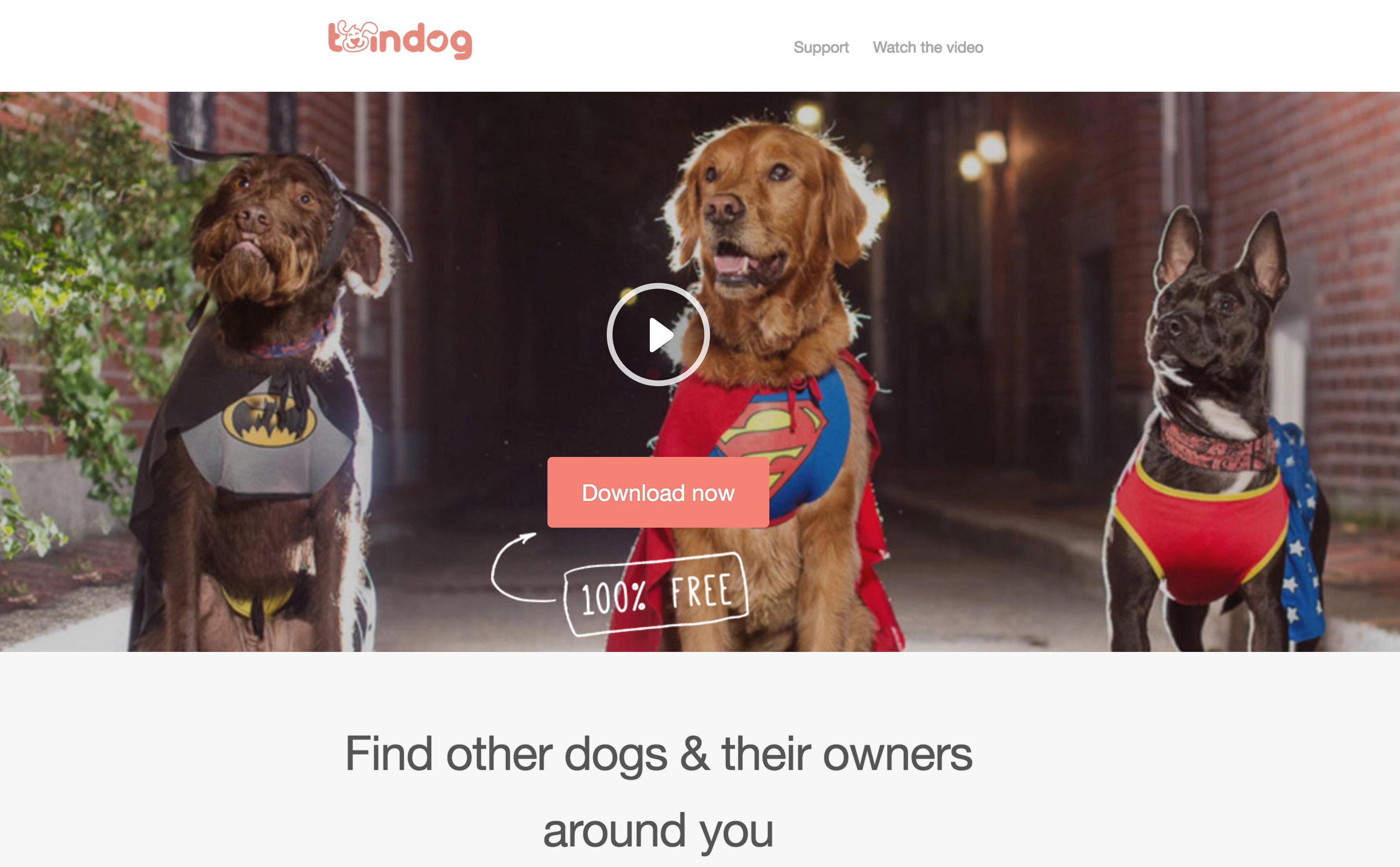 Twindog: ecco il Tinder per incontri tra cani (non solo sexy)