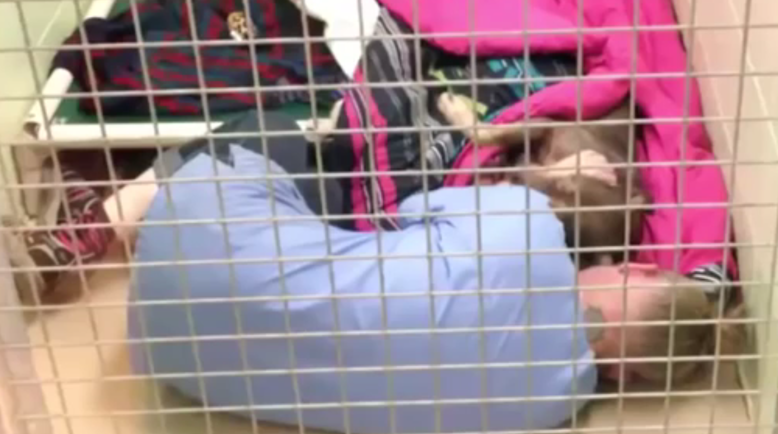 Il veterinario dorme col cane operato: non vuole che si svegli da solo [VIDEO]