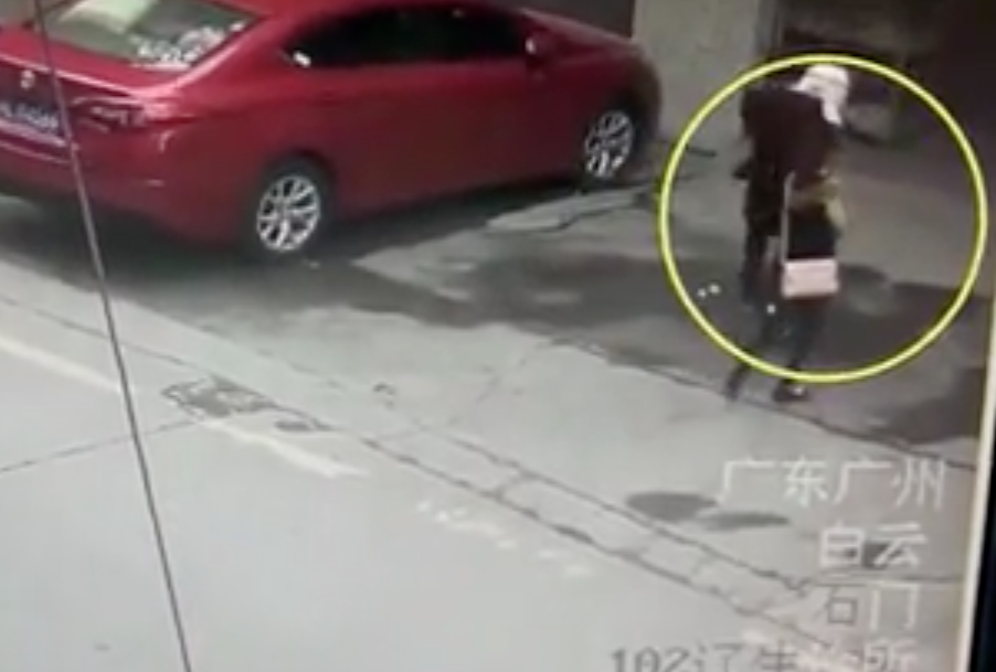 Un cane cade da una finestra e colpisce una donna: le immagini scioccanti [VIDEO]