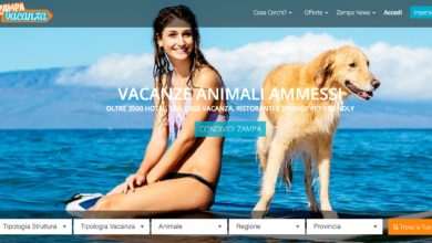 Vacanze con gli animali: un sito rende tutto più semplice
