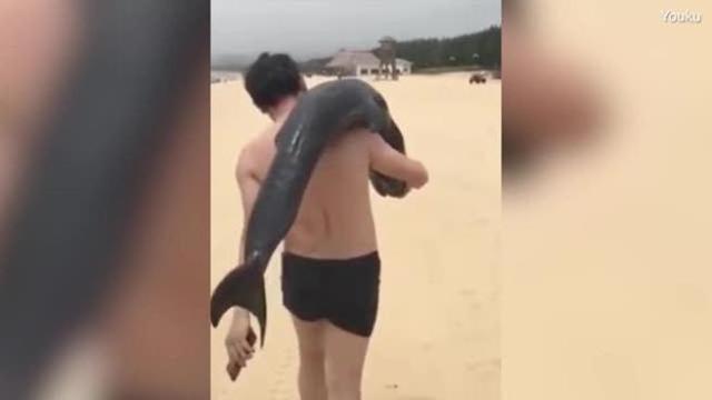 Turista porta in spalla un delfino morto: ecco il filmato shock [VIDEO]