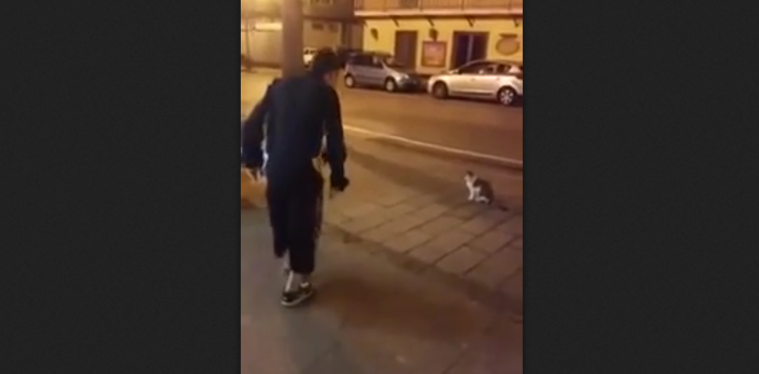 Vede un gatto in strada e lo spaventa: ora tutti cercano il ragazzo di Agropoli [VIDEO]