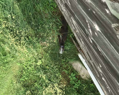 Vede una cosa strana al lato della strada: si ferma e rimane scioccato