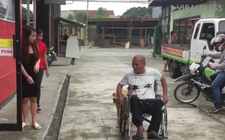 Il cane spinge un uomo sulla sedia a rotelle. La bellissima storia dietro la foto