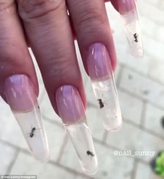 Formiche vive nelle unghie: la nuova “moda” arriva dalla Russia [VIDEO]