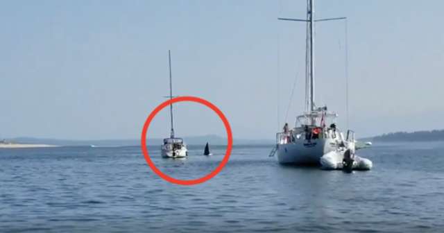 Vanno a prendere la barca in mare: poi lo shock [VIDEO]