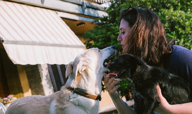 Chiara Cajelli da “Bocconcini canini” a Follow Your Pet: “Realizzerò biscotti adatti a tutti, anche a chi è intollerante al glutine! ” [ESCLUSIVA]