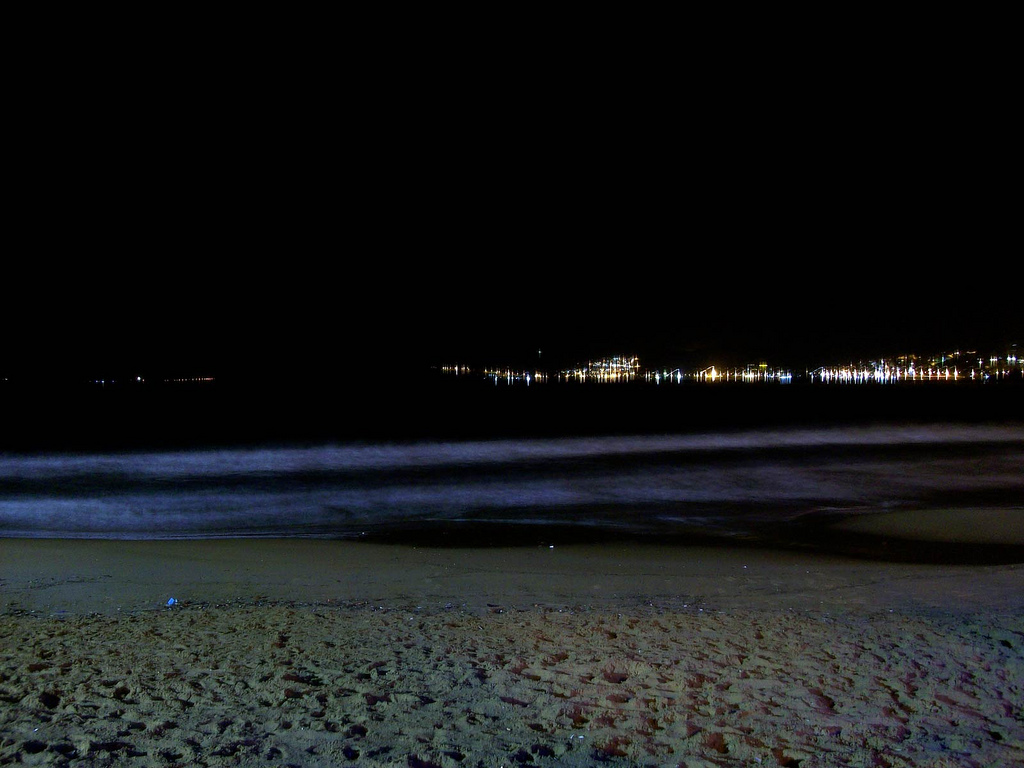 Misterioso avvistamento in acqua di notte, il mare attorno all’isola d’Elba è invaso. Ecco di cosa si tratta [FOTO]