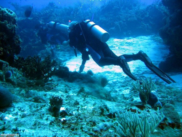 Un sub durante un’immersione fa una scoperta raccapricciante: ecco cosa trova tra i fondali marini [VIDEO]