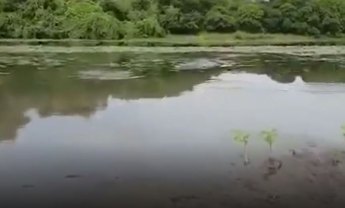 Vanno a pesca sul fiume: ma all’improvviso succede qualcosa di agghiacciante [VIDEO]