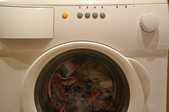 Sente uno strano rumore dalla lavatrice accesa: dentro vede le zampe di…