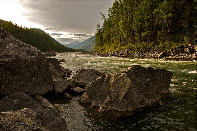 Il mostro del fiume: impressionante, pesa 200 kg e misura 4,5 metri [FOTO]