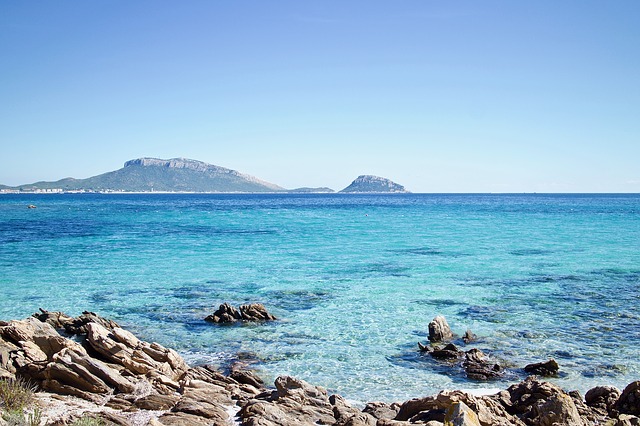 Raro avvistamento nel mare della Sardegna: vicino alla costa 40 grossi…