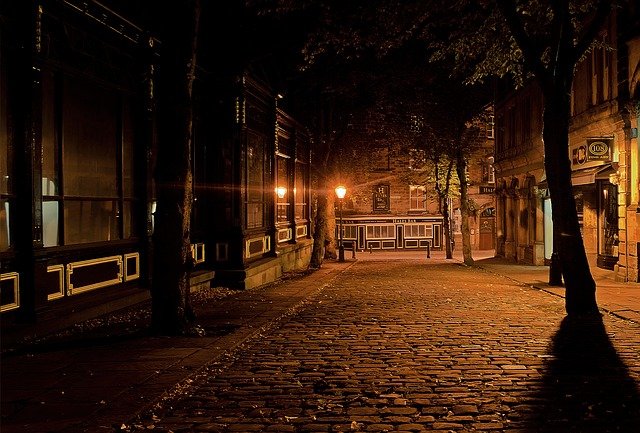 Uno strano animale cammina di notte in centro città: da vicino scoprono che… [FOTO]