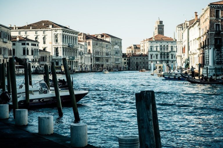 Fenomeno inquietante a Venezia: migliaia di cefali enormi dentro al canale [VIDEO]