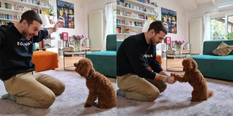 Alessandro Cattelan e il simpatico “test d’intelligenza” al suo cane: il risultato è sorprendente