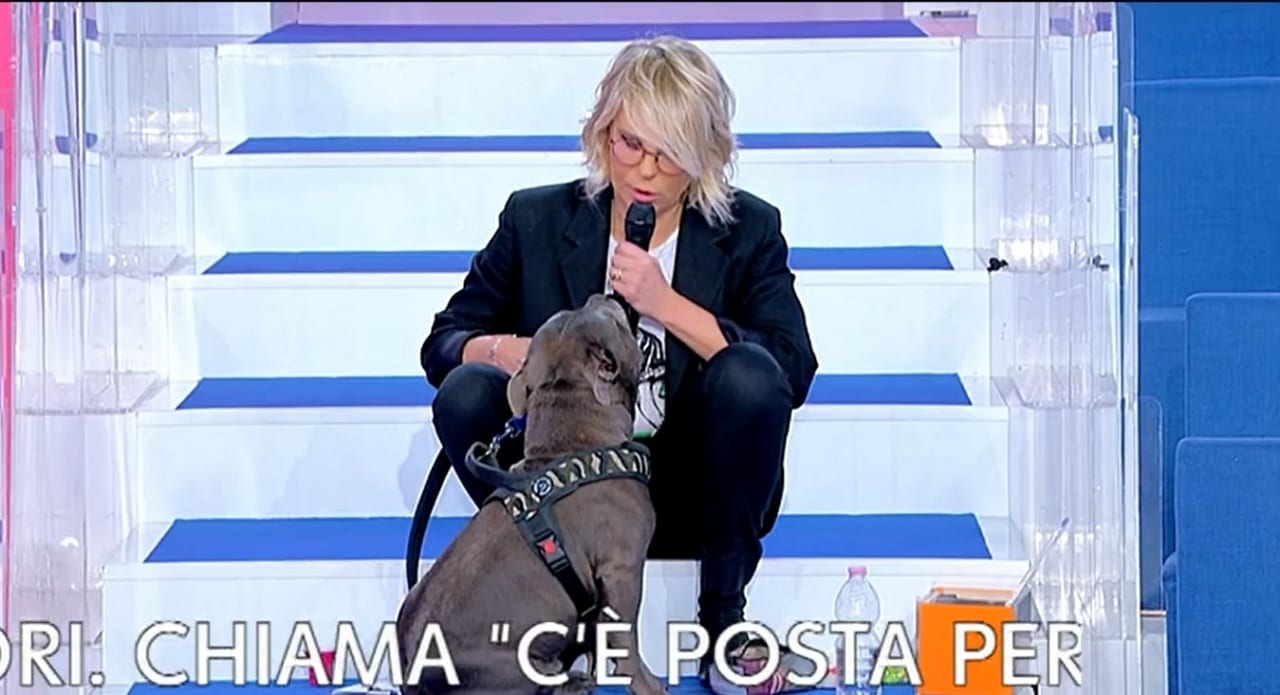 Maria De Filippi cane Uomini e Donne