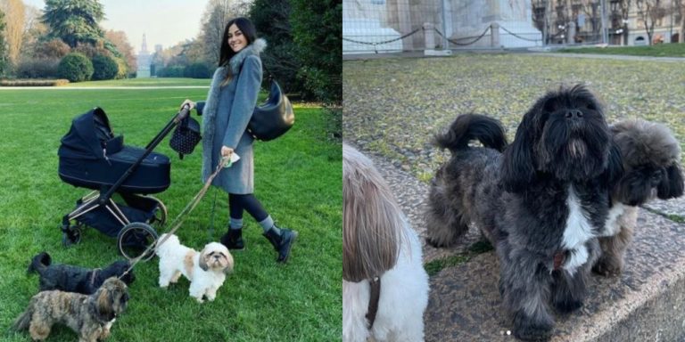 Giorgia Palmas e i suoi cani: “Non riuscirei ad immaginare la mia famiglia senza di loro”