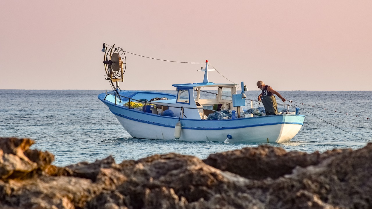 Siracusa pescatore incontra cinghiali