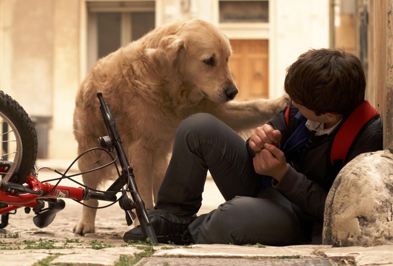 La vera storia di Italo, il cane che ha ispirato l’omonimo film con Marco Bocci