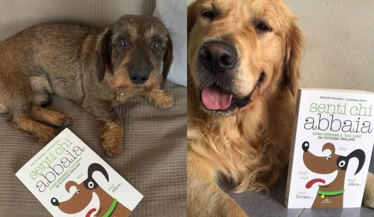 ‘Senti chi Abbaia’: il libro della blogger che parla con i cani