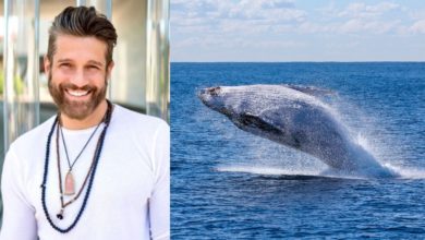 Edoardo Stoppa salvaguardia balene