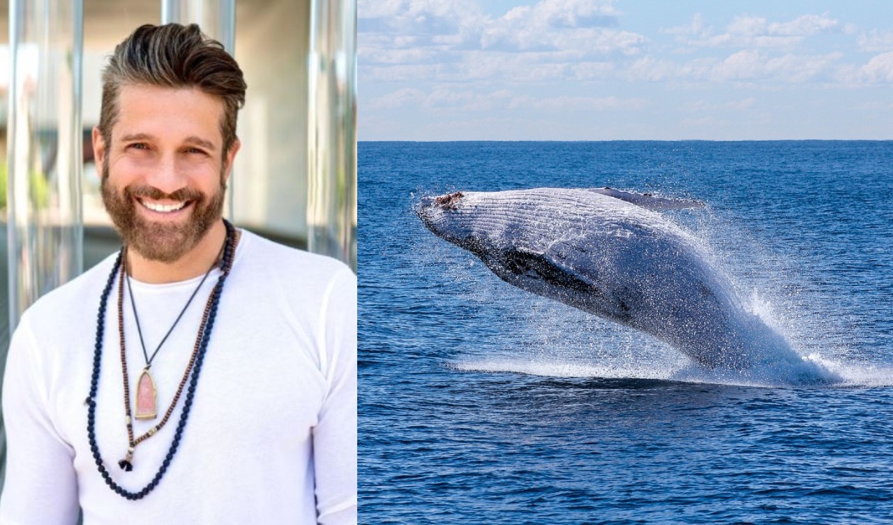 Edoardo Stoppa lancia un appello per la salvaguardia delle balene
