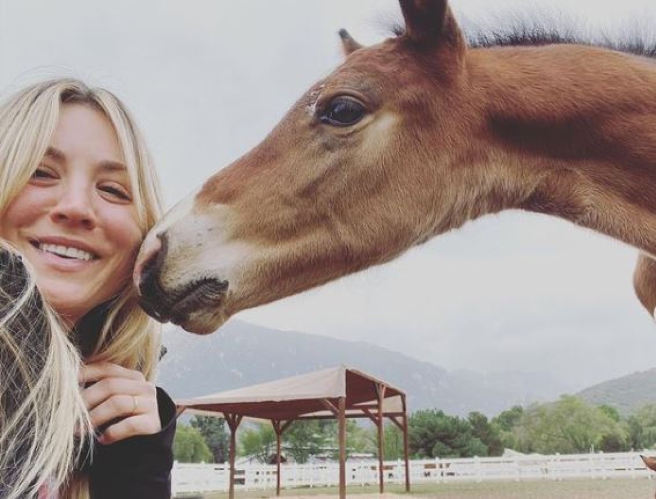 L’attrice Kaley Cuoco si offre di comprare il cavallo maltrattato alle Olimpiadi: “Sento che è mio dovere”