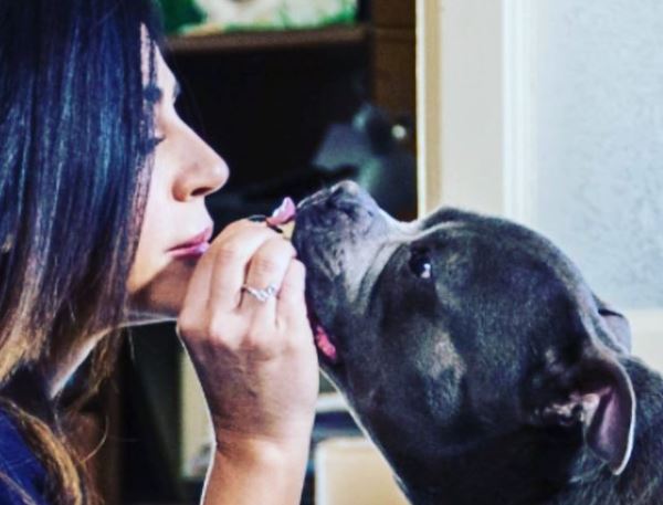 Raffaella Mennoia preoccupata per il suo cane: “Saki non sta molto bene”