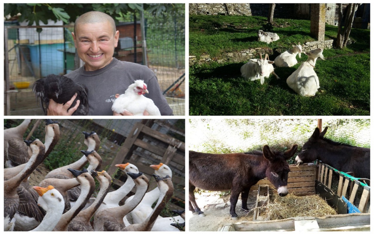 Cinzia Ferrara e i suoi animali trovano casa grazie ad AIDAA