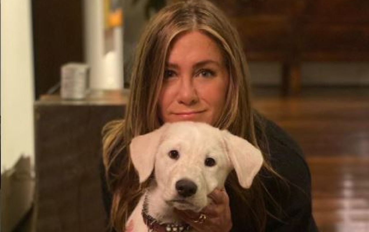 Jennifer Aniston e la sua grande passione per i cani