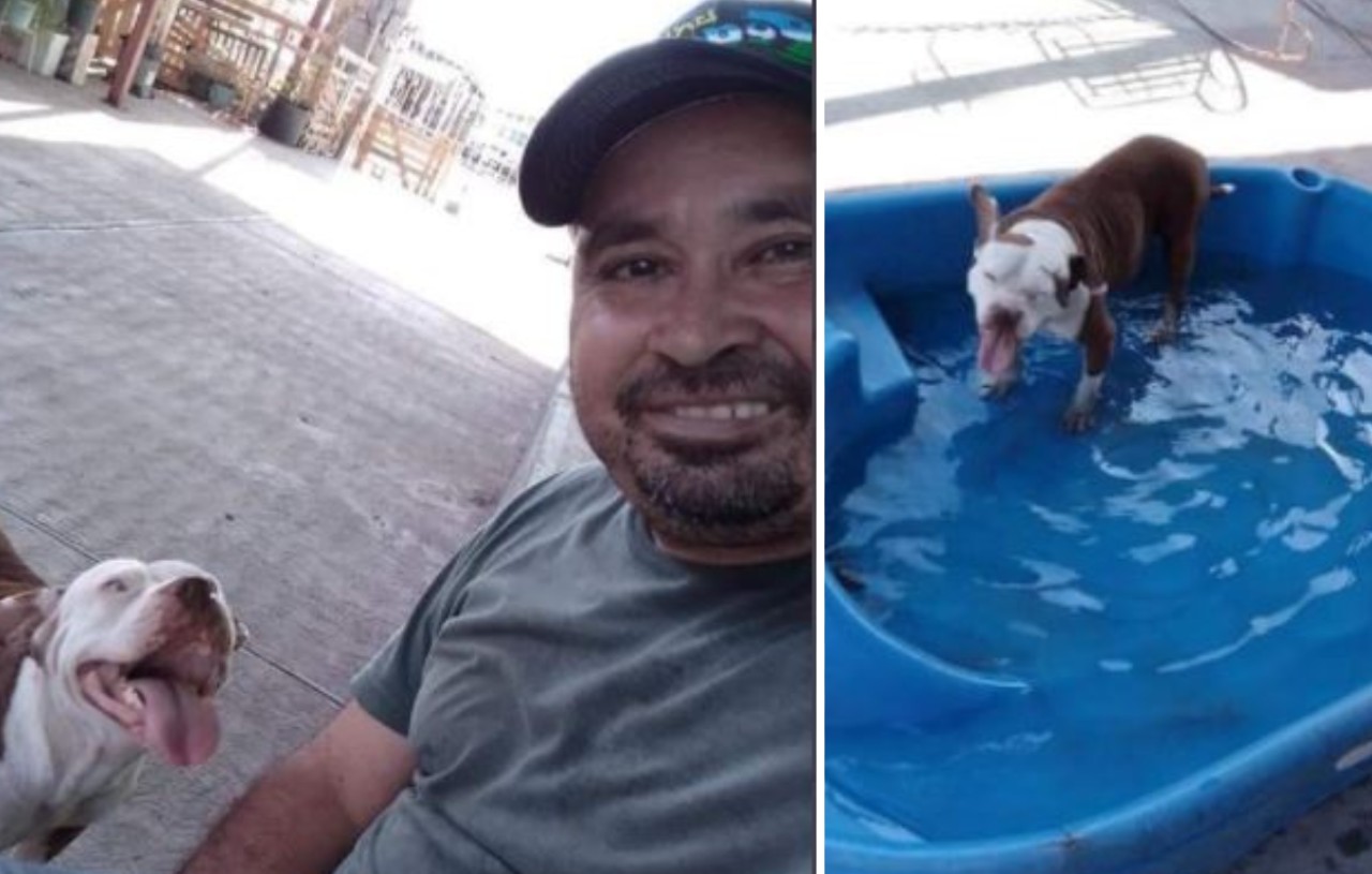 In Messico un uomo ha scelto una ‘missione’ speciale: salvare i cani randagi