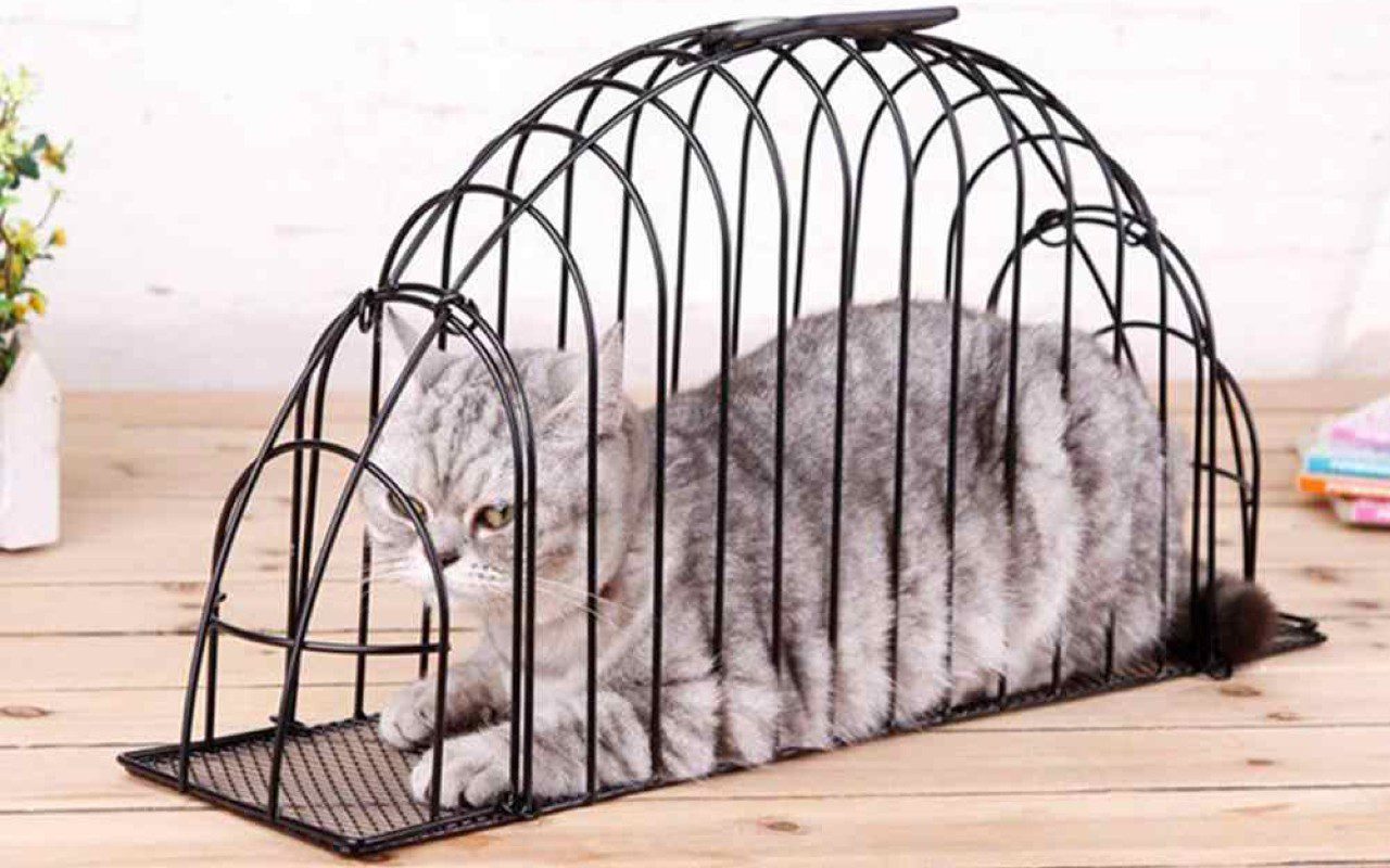 La protesta di AIDAA contro la nuova gabbia per gatti: “Oggetto di tortura”