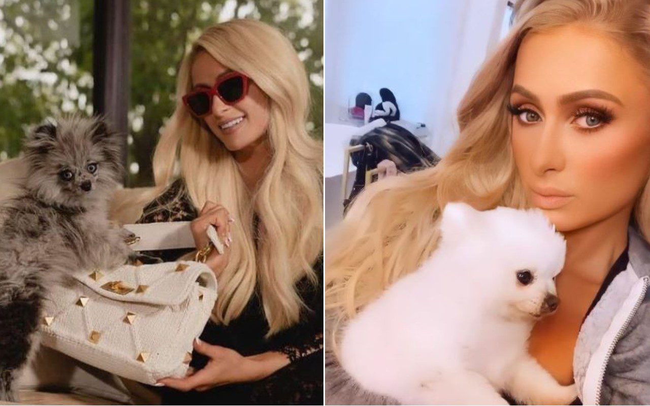 Paris Hilton e le coccole di ‘extra-lusso’ per i suoi adorati cani