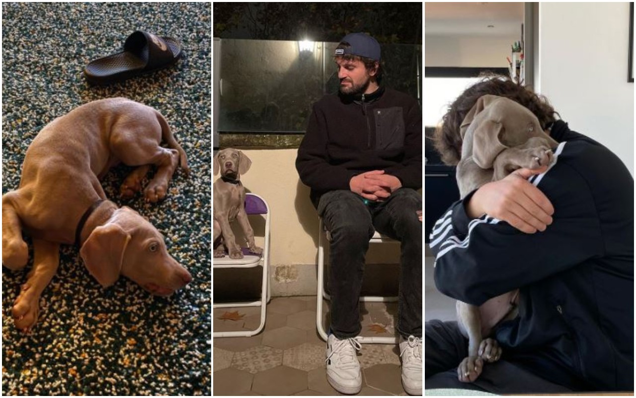 Frank Matano, coccole ed ironia con il suo cane Bimo [FOTO]