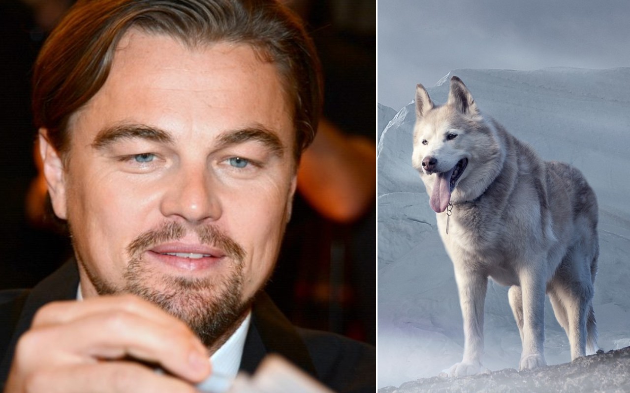 Leonardo DiCaprio lago ghiacciato cani