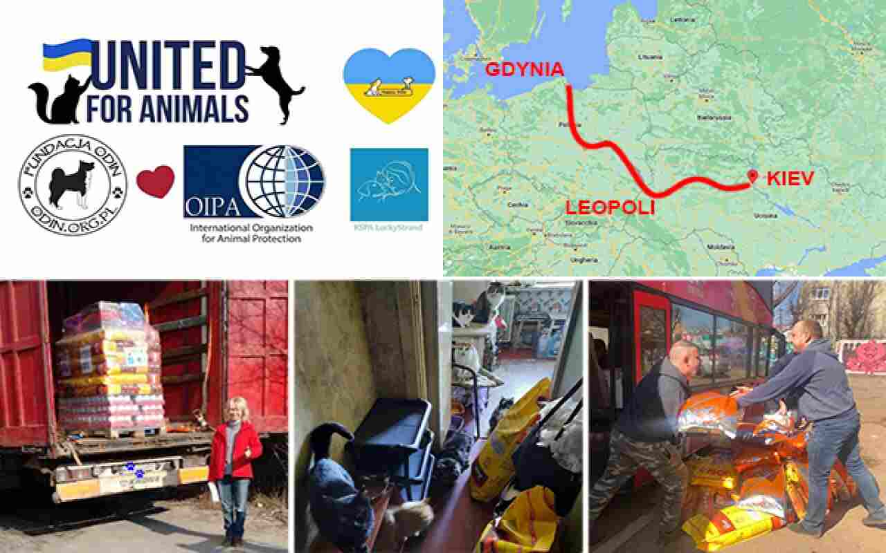 Ucraina, arrivati gli aiuti dell’Oipa per gli animali di Leopoli