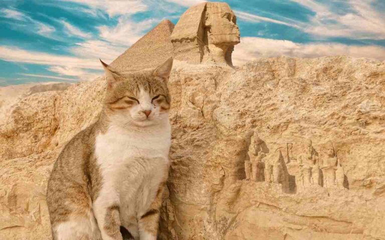Antico Egitto, ecco perché gli egiziani mummificavano gli animali