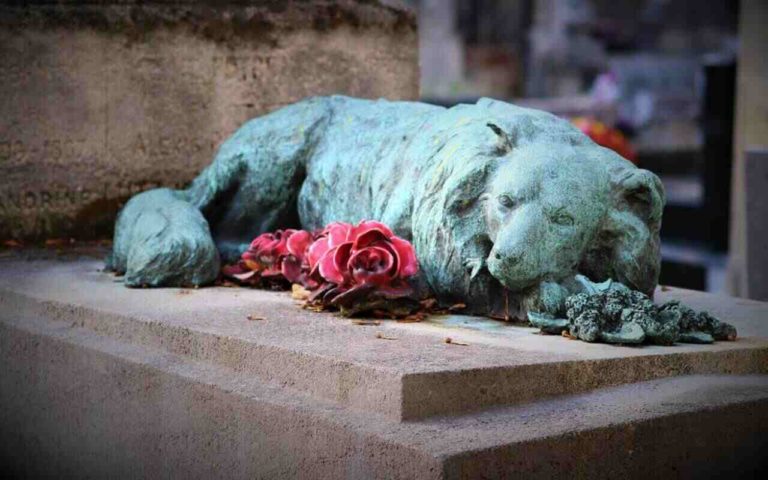 Primo via libera ai cimiteri per animali domestici nel Lazio