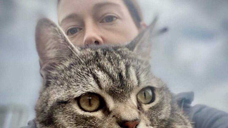 Cristiana Capotondi amata dai suoi Pici: tutte le curiosità sui suoi gatti