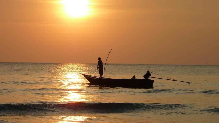 Giornata Internazionale contro la Pesca Illegale: i numeri di questo fenomeno