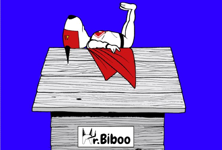 Mr Biboo