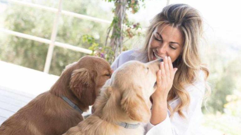 Vanessa Incontrada e l’amore per i suoi cani: chi sono Gina, Tokyo e Zelig