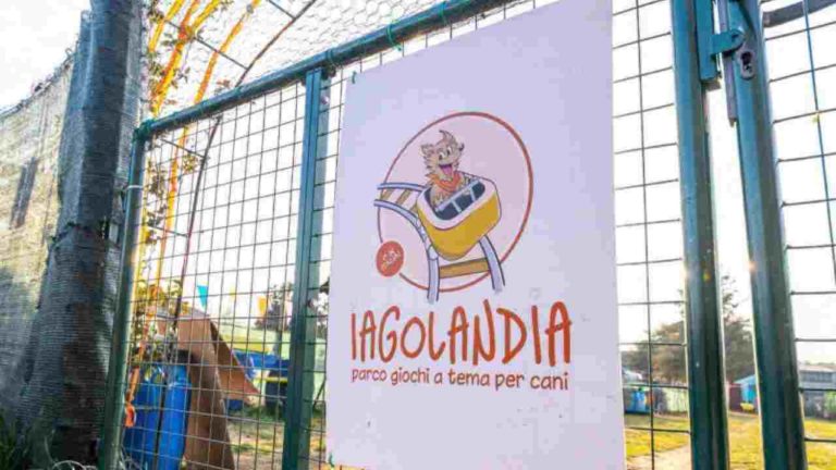 “Iagolandia” il primo parco giochi per cani in Italia compie un anno